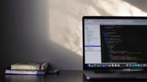 wordpress-udvikler