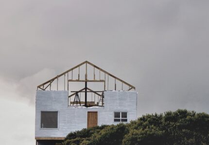 Photo by Devon Janse van Rensburg